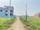 9.25 Dhur Land for Sale in Mangalapur – 20 Ft North-Facing Road | 500m East from Highway | Rs. 35 Lakhs