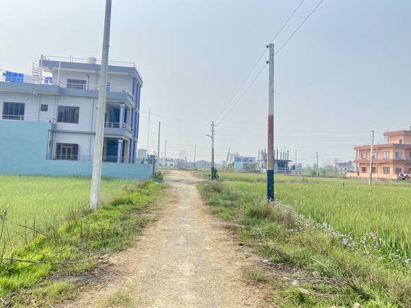 9.25 Dhur Land for Sale in Mangalapur – 20 Ft North-Facing Road | 500m East from Highway | Rs. 35 Lakhs