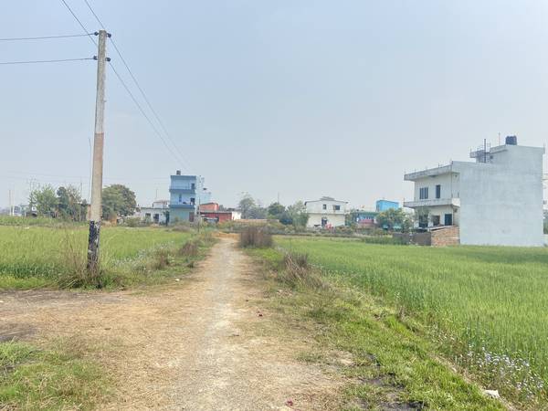 9.25 Dhur Land for Sale in Mangalapur – 20 Ft North-Facing Road | 500m East from Highway | Rs. 35 Lakhs