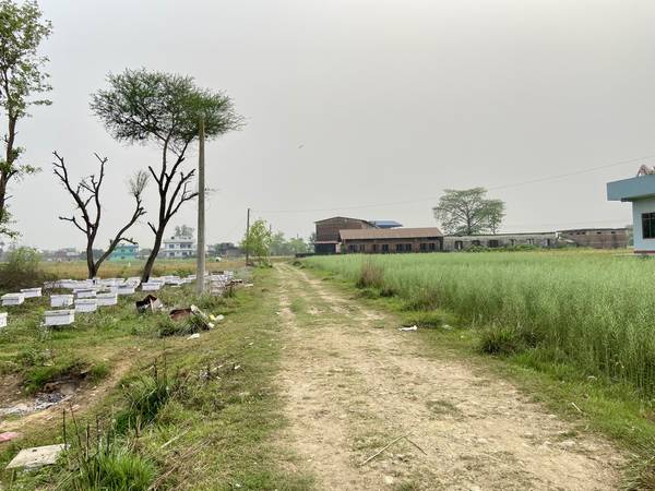 Land for Sale in Sainamaina-5, Baksad Dadha, Near Paschim Parroha School