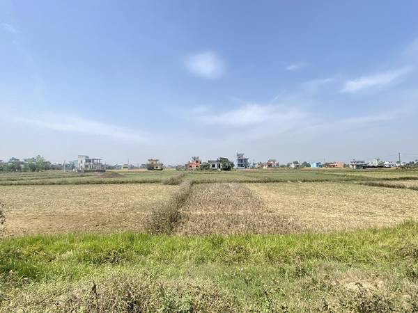 Tilottama Semara Land for Sale or Exchange – 10 Dhur East-Facing Plot