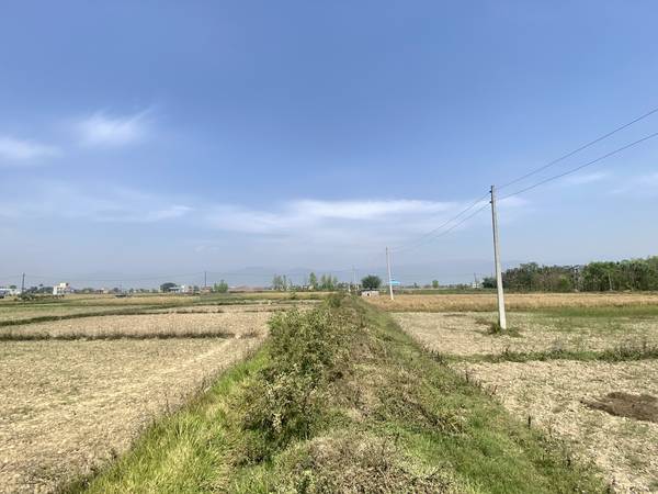 Tilottama Semara Land for Sale or Exchange – 10 Dhur East-Facing Plot