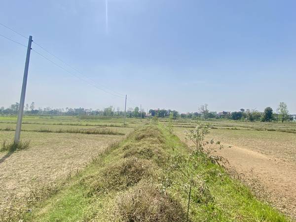 Tilottama Semara Land for Sale or Exchange – 10 Dhur East-Facing Plot