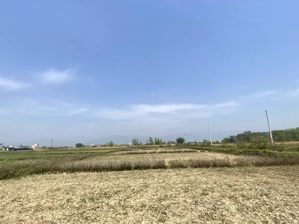 Tilottama Semara Land for Sale or Exchange – 10 Dhur East-Facing Plot