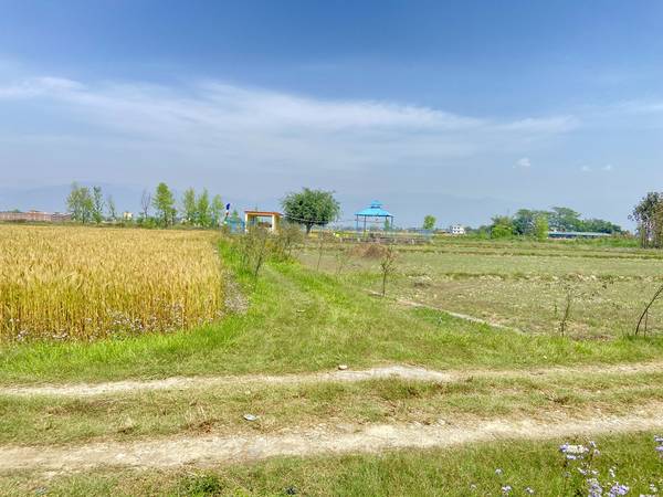 Tilottama Semara Land for Sale or Exchange – 10 Dhur East-Facing Plot