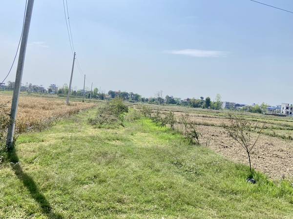 Tilottama Semara Land for Sale or Exchange – 10 Dhur East-Facing Plot