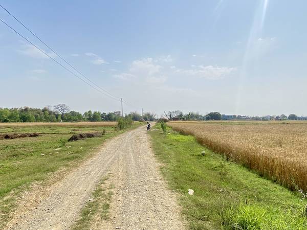 Prime 3.5 Bigha Land for Sale near the Sikara Viral Tree – Ideal for Industry, Factory & Plotting