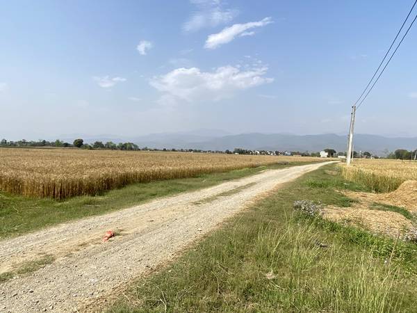 Prime 3.5 Bigha Land for Sale near the Sikara Viral Tree – Ideal for Industry, Factory & Plotting