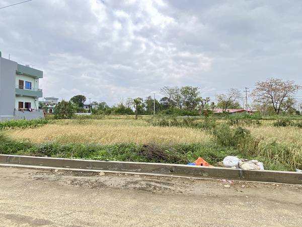 Land for Sale in Butwal Nayagaun | 8.5 Dhur East Facing Plot Near Highway
