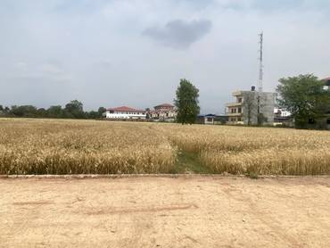 Land For Sale In Tilottama Manigram – Prime Residential & Commercial Plots Near Siddhartha Highway