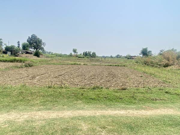 9.50 Dhur East-Faced Land for Sale in Manarapur, Butwal | 20×38 Haat | Only 22 Lakhs