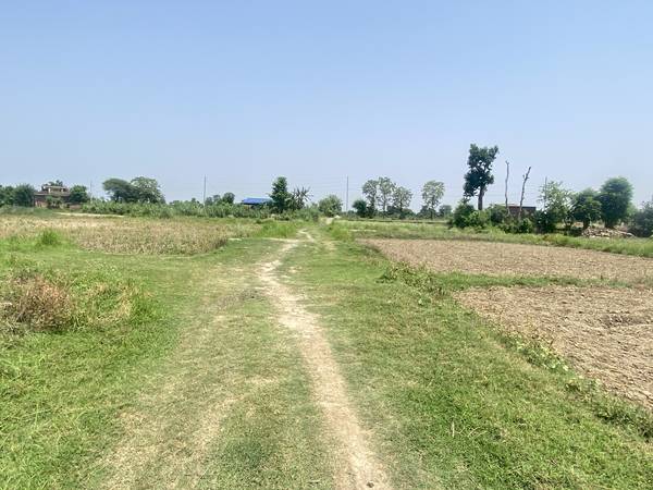 9.50 Dhur East-Faced Land for Sale in Manarapur, Butwal | 20×38 Haat | Only 22 Lakhs