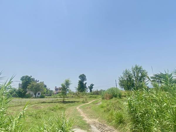 9.50 Dhur East-Faced Land for Sale in Manarapur, Butwal | 20×38 Haat | Only 22 Lakhs
