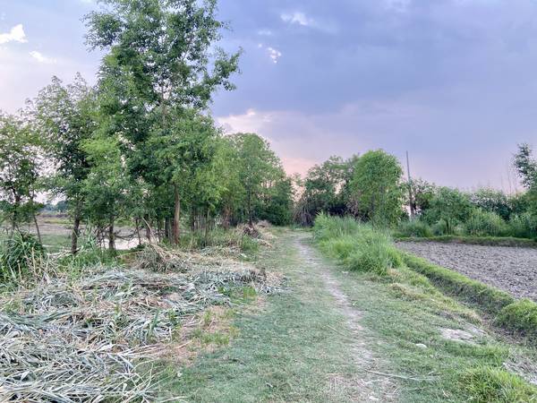 1 Katha Residential Land for Sale in Motipur, Butwal – North-Facing Plot at NPR 33 Lakhs