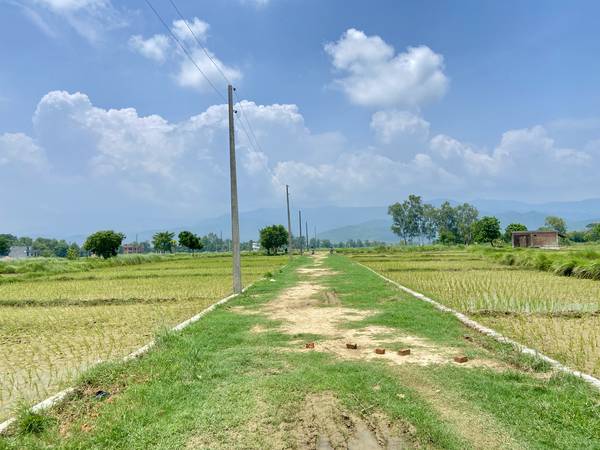 Land for Sale Near Bolbam Temple, Ranibagiya, Sainamaina