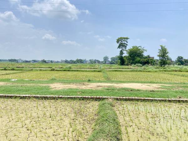 Land for Sale Near Bolbam Temple, Ranibagiya, Sainamaina