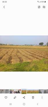 Land For Sale At Manigram Shivapur Nayabasti