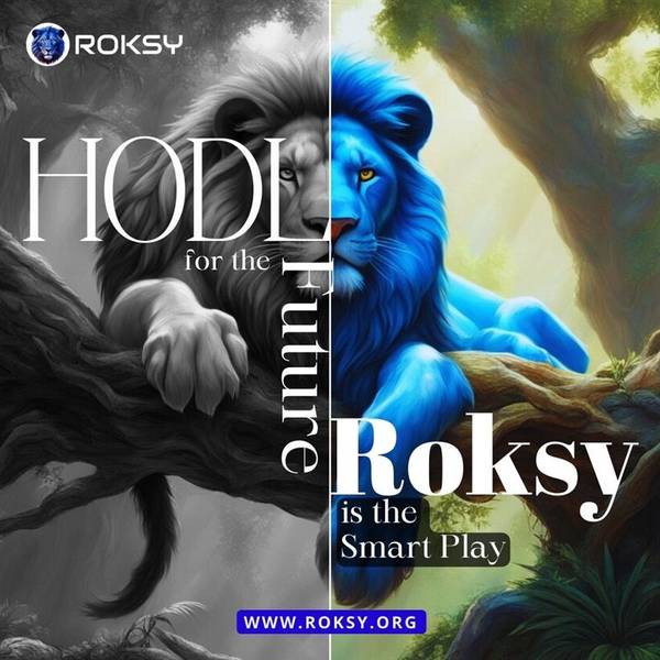 Roksy Meme Coin: The Top Choice for Viral Web3 Investors