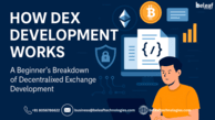 Trusted Company for DEX Platform Development