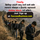 Working from Kirtipur dada - Domestic Tourism