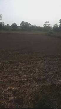 Prime 12 Kattha Land For Sale Near Saljhandi Bazaar