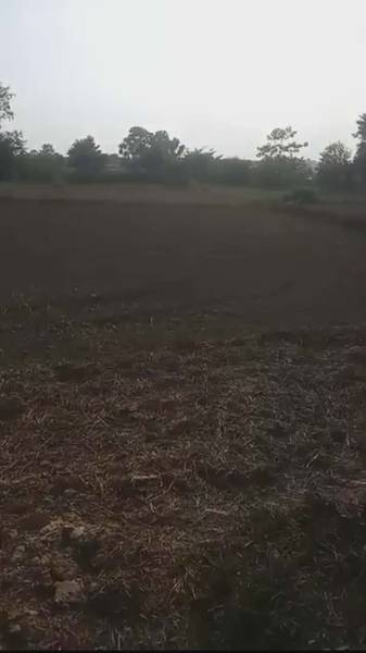 Prime 12 Kattha Land for Sale Near Saljhandi Bazaar