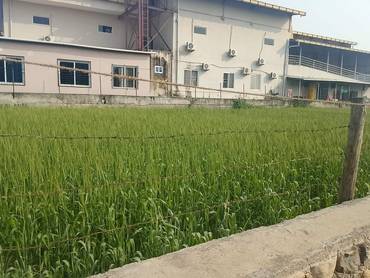 Land For Sale Near Divertole Chowk