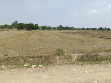 Lumbini Sanskritik Nagarpalika-10 Laxmipur Ma Ekdamai Mileko Jagga Bikri Ma!!