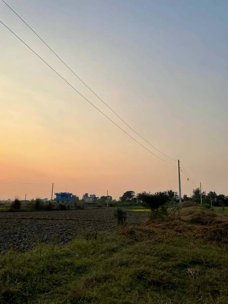 Land for Sale in Ujelapur, Nayangau – Butwal Sub-Metropolitan City Ward No. 15