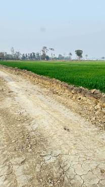 25 Kattha Land For Sale At Shankarpur Chowk, Khairani (Omsatiya-6, Narainpur)