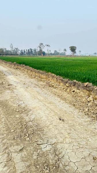 25 Kattha Land for Sale at Shankarpur Chowk, Khairani (Omsatiya-6, Narainpur)