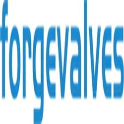 China Topper Forged Valves Co., Ltd.