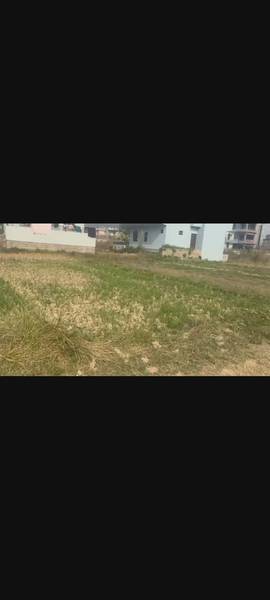 Land for Sale Near Murgiya Chowk – Behind Nabil Bank