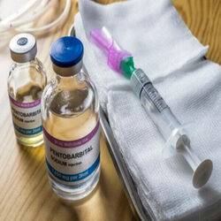 Nembutal (pentobarbital) in Mahikeng+27 81 850 2816