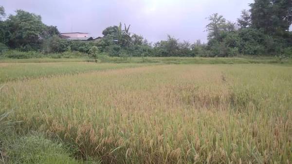 1 katha land for sale at basgadi sainamaina