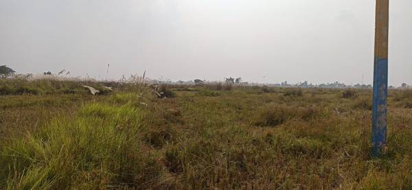 Land is on Sale at Tilottama Makrahar Rupandehi