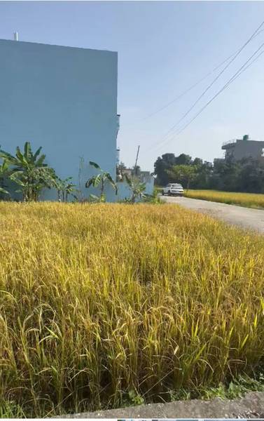 9 Dhur Land for Sale Near Main Highway, Nayagau