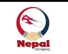 Nepal Job Agency profile image