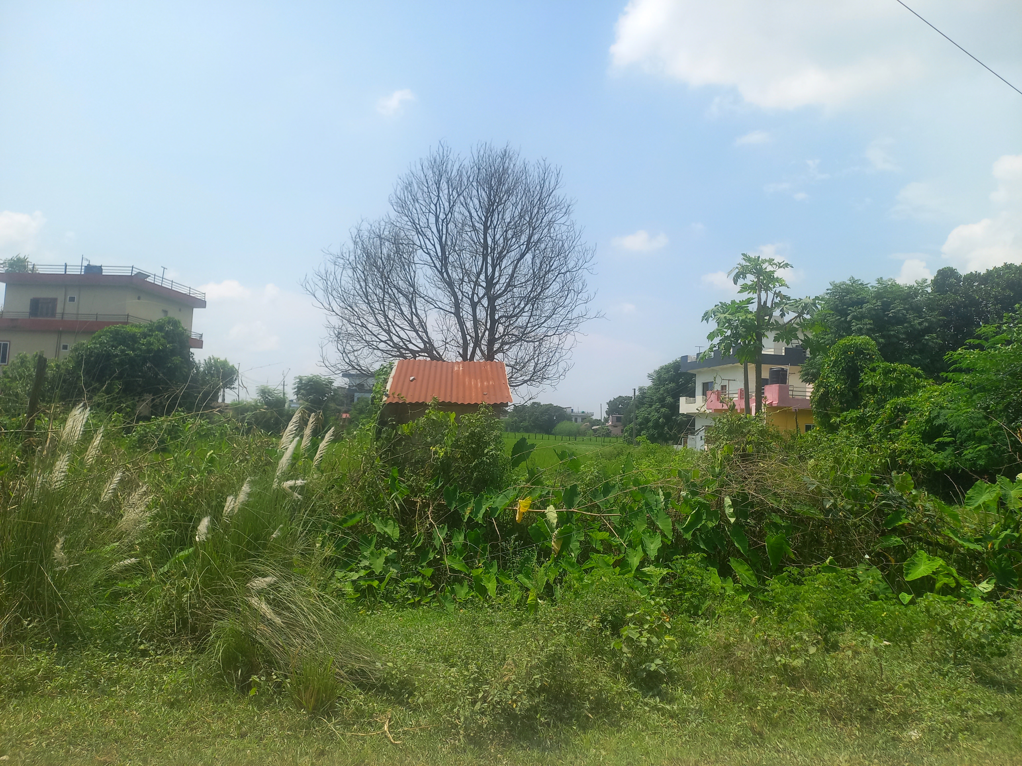 Commercial land for sale at chaparhatti banbatika shankarnagar