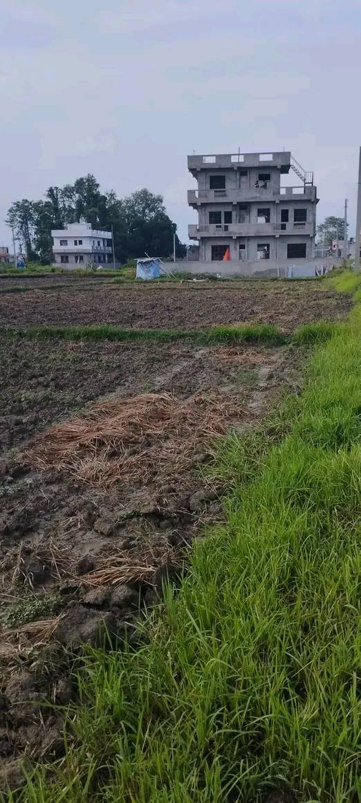 East Facing Land On Sale at Tilottama Mangalapur