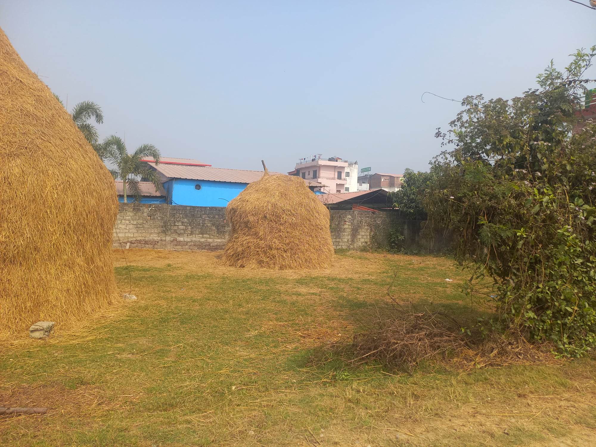 19 Dhur land on Sale at Tilottama Janakinagar