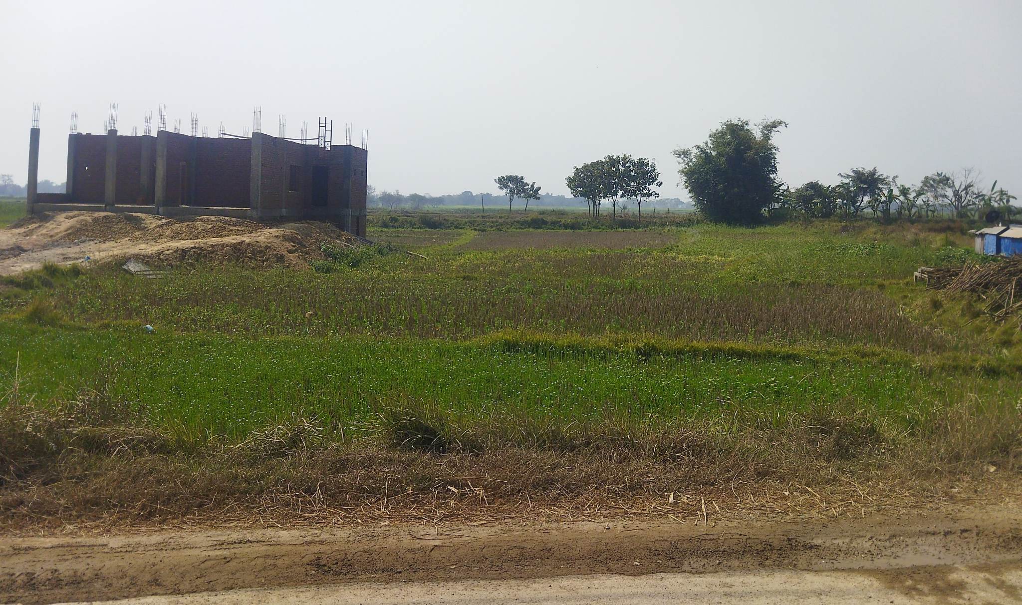 North-Facing 5 Kattha Land For Sale At Chapiya Rupandehi