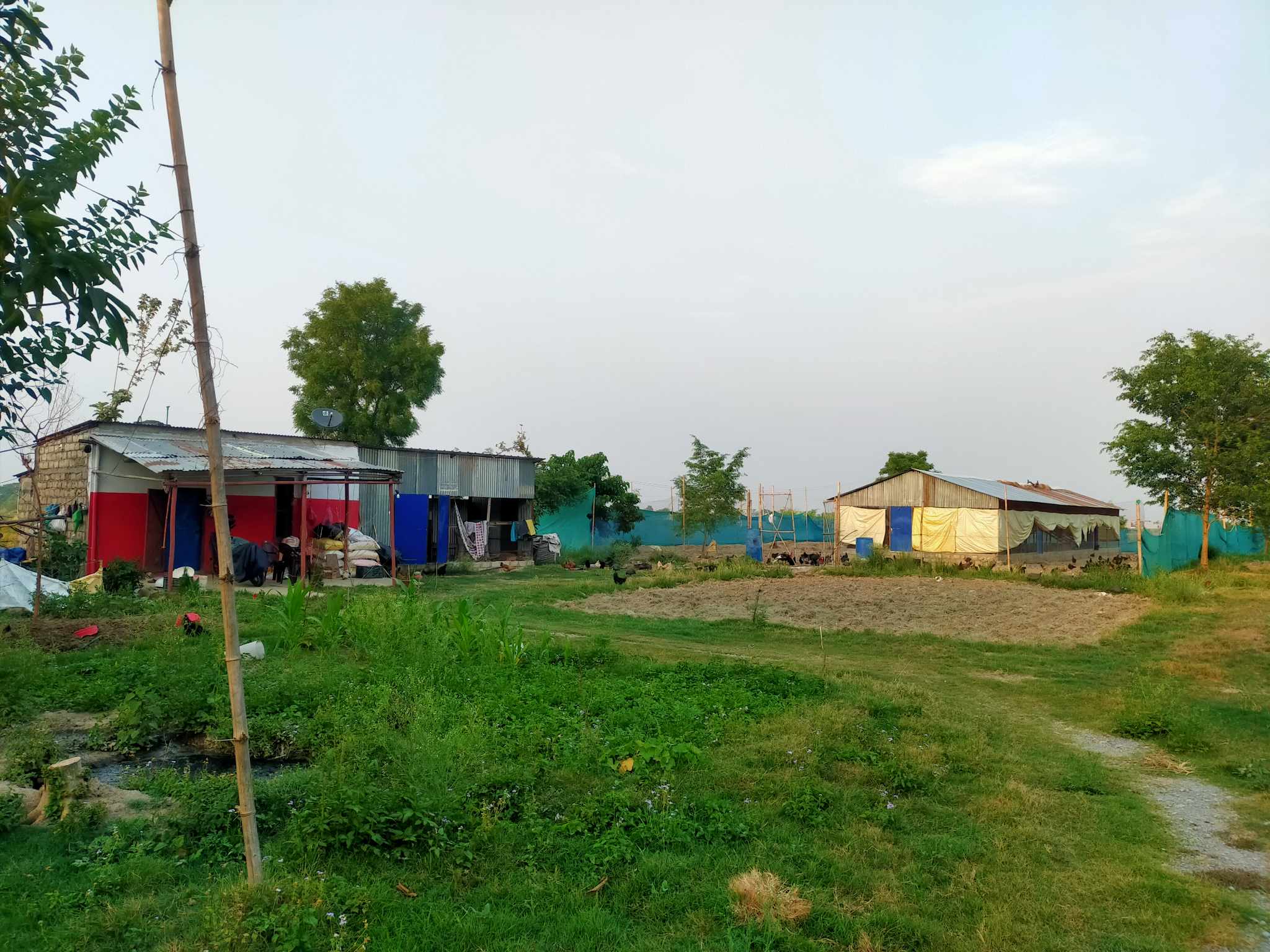 Agriculture Farm On Sale at Tilottama Karahiya Mudiyari