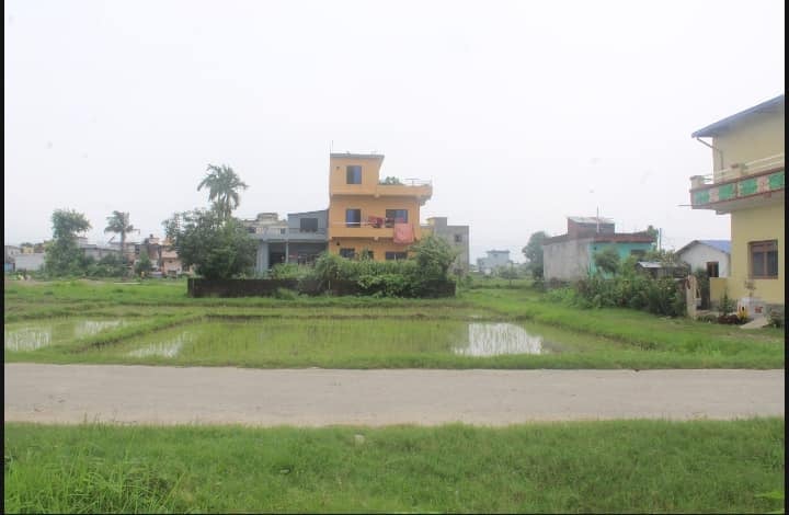 Land For Sale At Pharsatikar Rupandehi Infornt Of Riddhi Siddhi Party Place