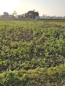 Land For Sale At Bharatpur Chitwan
