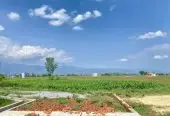 Attractive Plot for Sale at Shivpur Chaukidada, Tilottama