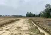 10 Kattha Land for Sale in Devdaha-1 Pragatinagar Near Shankarpur Bazaar