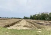 10 Kattha Land for Sale in Devdaha-1 Pragatinagar Near Shankarpur Bazaar