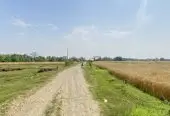 Prime 3.5 Bigha Land for Sale near the Sikara Viral Tree – Ideal for Industry, Factory & Plotting