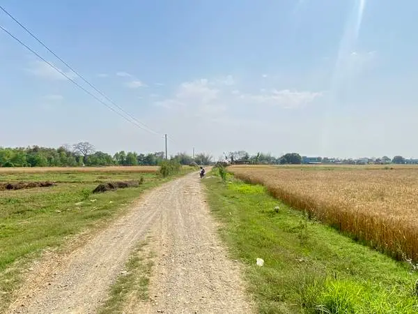 Prime 3.5 Bigha Land for Sale near the Sikara Viral Tree – Ideal for Industry, Factory & Plotting